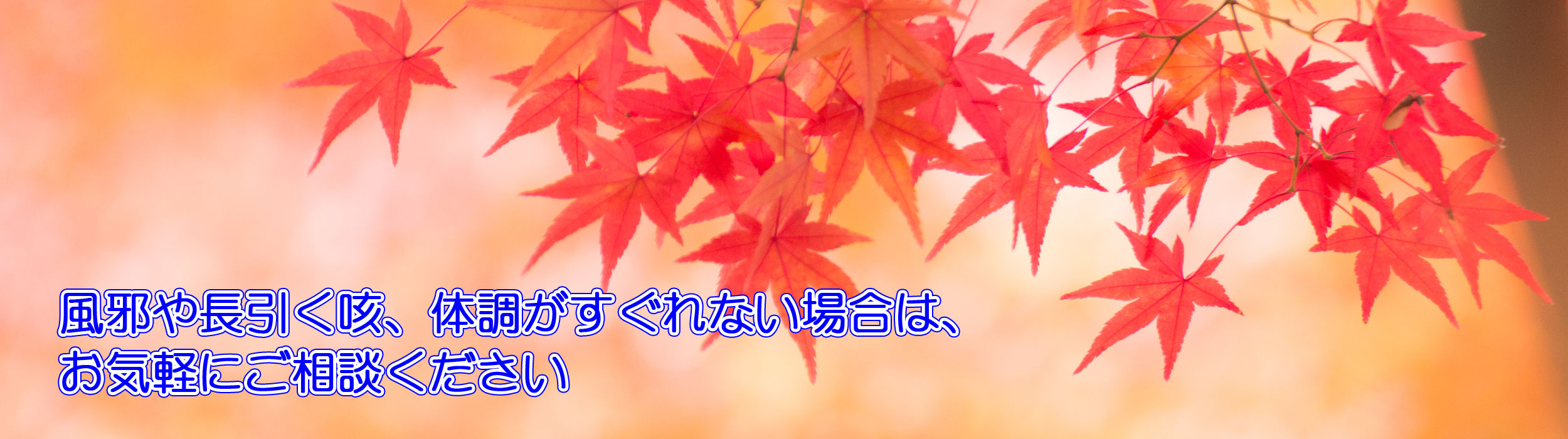 内科は健康相談の窓口です